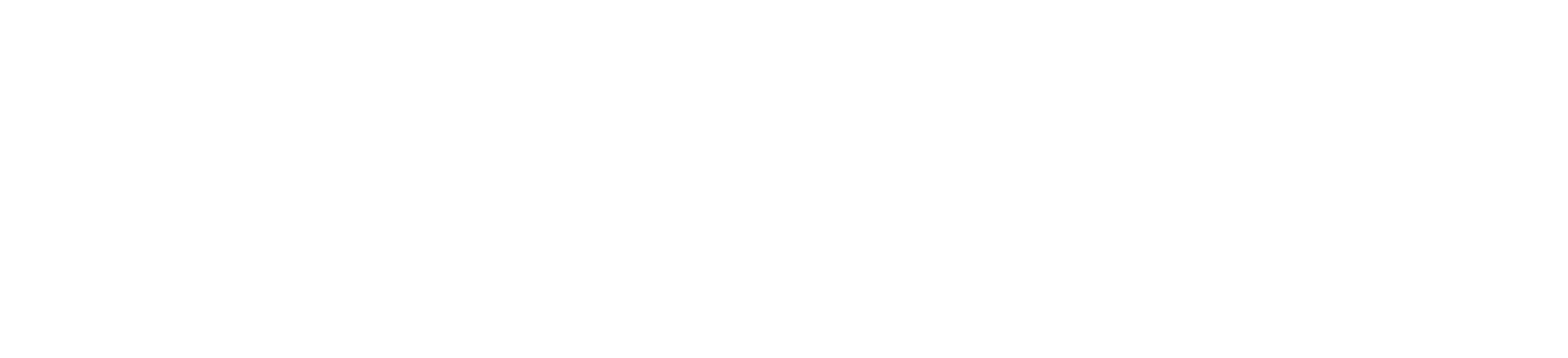 NZ Govt logo
